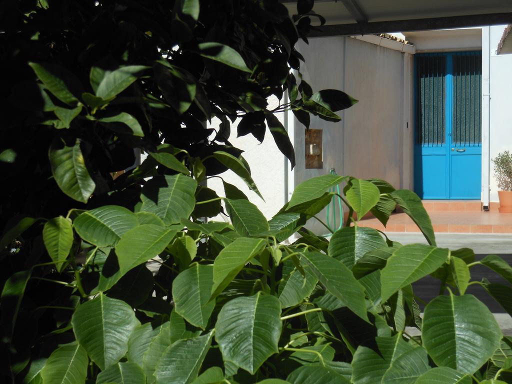 Il Giardino Del Corso Apartment Avola Room photo